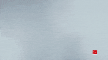 GIF by Bundesliga