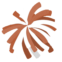 Texas Ut Sticker by College Colors Day
