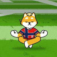 World Cup Football GIF by Dogelon Mars