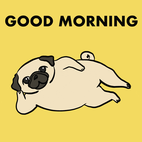 Digital art gif. A pug is leaning on its side and on one paw while it looks at us and it lifts one back leg up and down in exercise. Text, "Good Morning!"