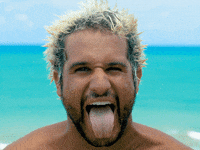 costablancafilms surf surfer champ stoked GIF