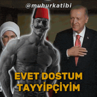 Sigma Rte GIF