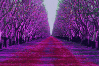 You Only Live Once GIF by Yolo Rum