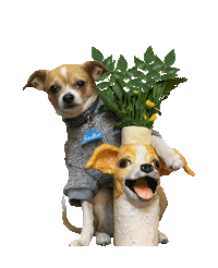 Mothers Day Flowers Sticker