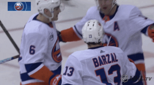 ice hockey GIF by NHL