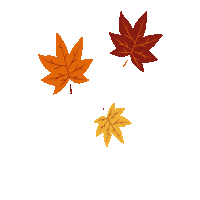 ilgiardinodellezucchepp halloween orange autumn pumpkin Sticker