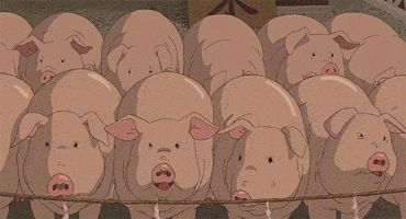 studio ghibli GIF by Spirited Away
