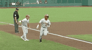 Baseball College GIF by NCAA Championships