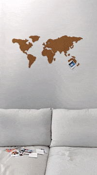 GIF by Flamingueo