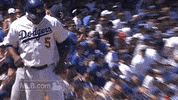 Tampa Bay Rays GIF by MLB