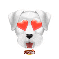 UltimaES in love love you perro schnauzer Sticker