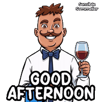 Happy Good Afternoon Sticker by VeeFriends