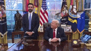 Donald Trump GIF by Respective