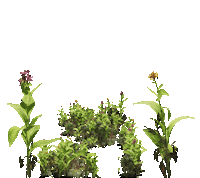 Dua Lipa Beauty Sticker by PUMA