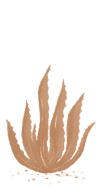 daehair desert arizona cactus aloe Sticker