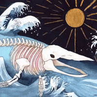 GIF by PBS Digital Studios