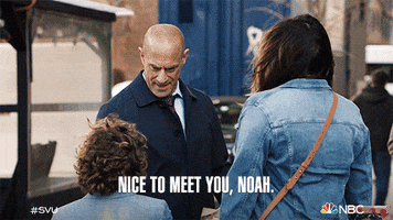 Nice To Meet You Special Victims Unit GIF by Law & Order