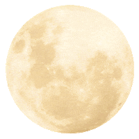 Moon Thanksgiving Sticker by hellofiits