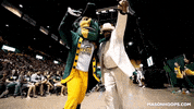 masonhoopsblog patriots doc patriot gmu GIF