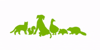 torontohumanesociety  GIF