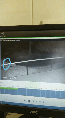 maurciodeh giphyupload GIF