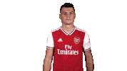 Premier League Football Sticker by Arsenal