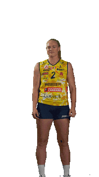 Plummer Sticker by ImocoVolley