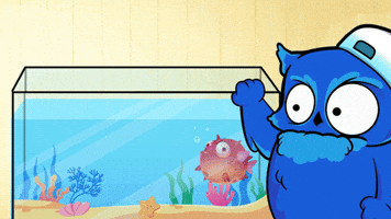 Owl Sui GIF by BigBrains
