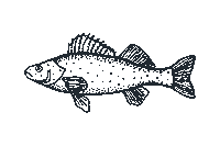 Fish Fishing Sticker by Travel South Dakota