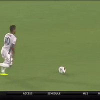 lavclb GIF by LA Galaxy