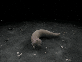 worm disease GIF