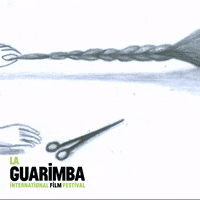 Oh No Omg GIF by La Guarimba Film Festival