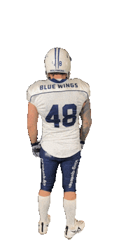 Football Flex Sticker by Wolfsburg Blue Wings