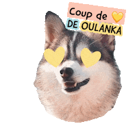 Pawsitivepetambassadeur Sticker by Pawsitive pet