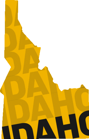 U Of I Gold Sticker by University of Idaho