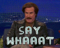 say what GIF