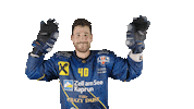 ekzellereisbaeren eishockey 40 alpshockeyleague zell am see Sticker