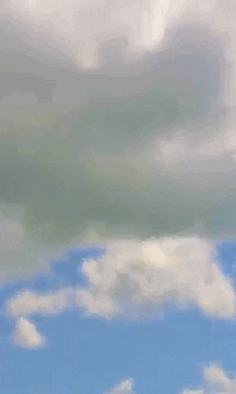 David Choe Art GIF