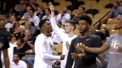 bench GIF by UCF Knights