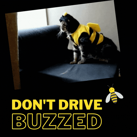 Drunk Driving GIF by VDOT
