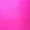 Celebrate Happy Birthday GIF by Julie Smith Schneider