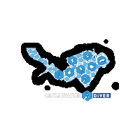 Coral Reef Researcher Sticker by Conservation Diver