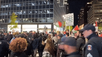 Massive Pro-Palestine Protest Marches Through Manhattan