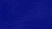 Category What Is Happening GIF by Jeopardy!