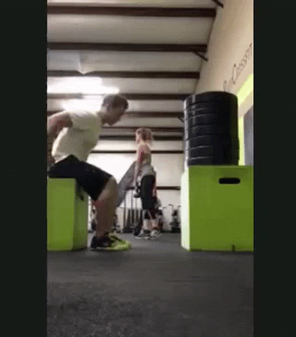 giphygifgrabber GIF
