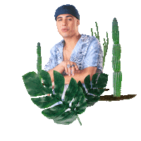 cactus mergui Sticker by Guy Trefler