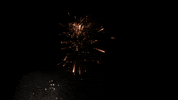 Celebrate Independence Day GIF by emibob