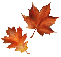 Fall Season Sticker by SoulRoboX s.r.l.
