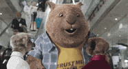 Surprise Love GIF by Compare the Market