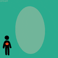 canada news lol GIF by Animation Domination High-Def